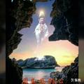 桂容578头像
