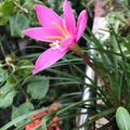 欧阳27053头像