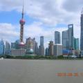 蒲公英vi头像