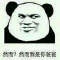 中国移动通信11头像