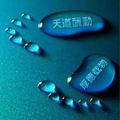 koledar头像
