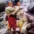段玉8头像