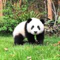兄弟情谊810头像