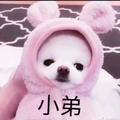 糊糊L836头像
