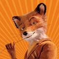 MrFox484头像