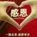 仁者见智24头像
