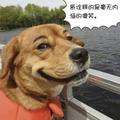 周培3038头像