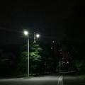 喜欢雨中行Z头像