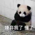 为我们理想奋斗头像
