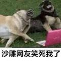 走位扭到脚_头像