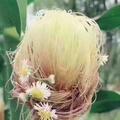 朱小林650头像