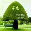大山23671头像