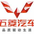 五菱集团广州地区执行董事头像