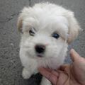勇者海燕hZ头像