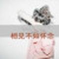 淡129954763头像