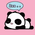 壮壮644头像