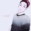 Mr-Lin408头像