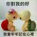 zsj非你莫属头像