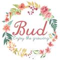 Bud巴德头像
