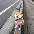用户6822653533头像