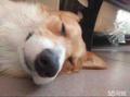 苦逼的小然子头像