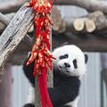 在我想起来527头像