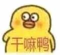 你到底要干嘛鸭 · 伊兰特车主·车龄3年头像