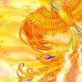 段宏博317头像