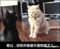 玮玮宝头像
