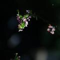 雕刻时光5476头像