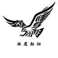 流浪的雄鹰哥头像