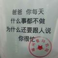 大毛金刚头像