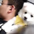 十二5051头像