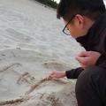 小卷毛的先生头像