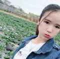 小翼芯头像