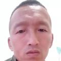 cz山鹰头像