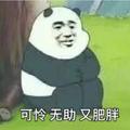 shag907头像