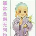 白开水8205头像