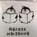 雪的影子wsy头像