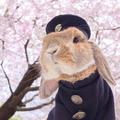 ___6953头像