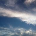 简单点8255头像