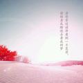 无名小祖头像