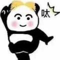 风琴鱿鱼头像