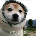 刘优秀i743头像