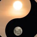 奇幻枫叶定风波头像