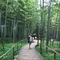 孙进兴617头像