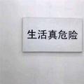 隔壁小chen288头像