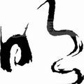 朱晓明1311头像