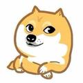 你说呢785头像