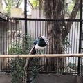 还好囿你头像